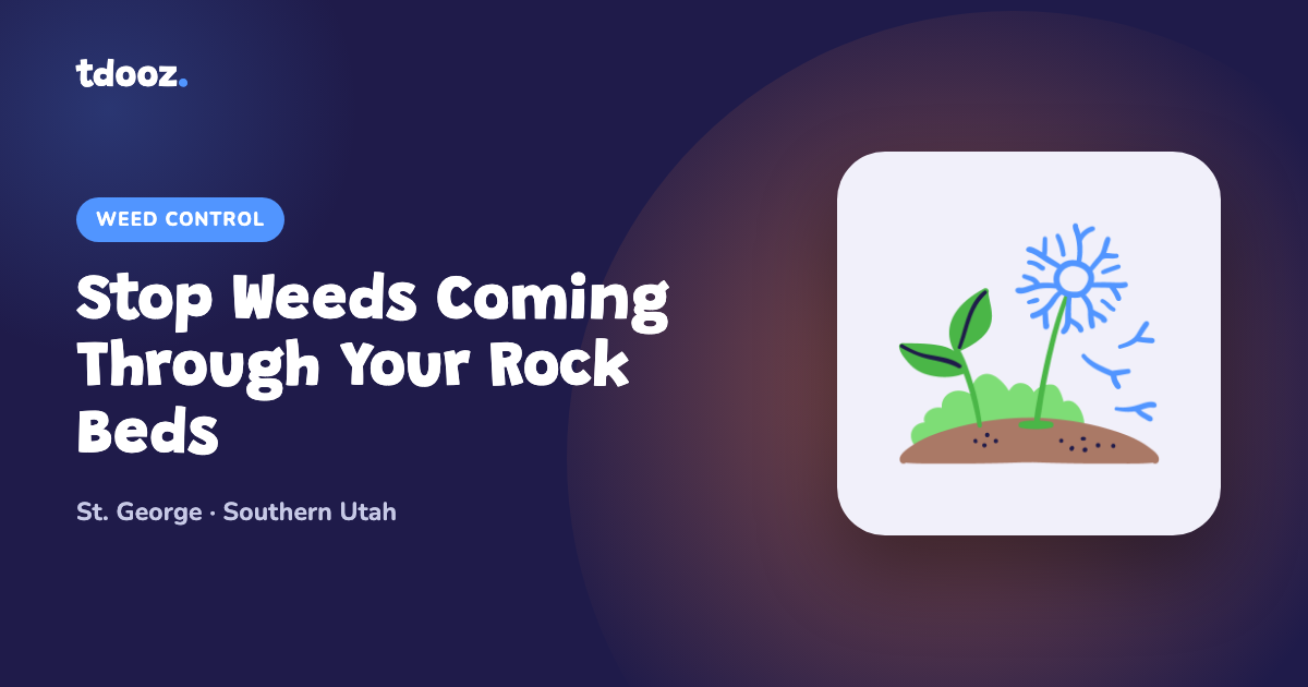 Weeds growing through rock landscaping in Southern Utah